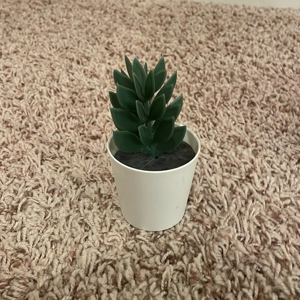Mini Succulent Plant Decor